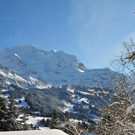 Galliweidli By Interhome Appartement