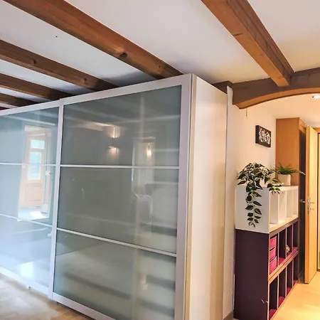 Appartement Galliweidli By Interhome Wengen