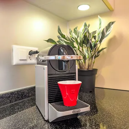 Appartement Galliweidli By Interhome *